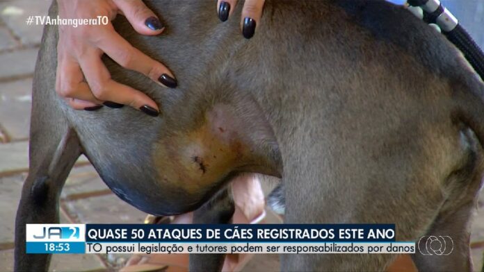 videos:-jornal-anhanguera-2a-edicao-to-de-quinta-feira,-19-de-junho-de-2025