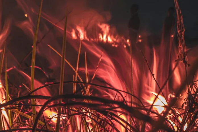 clima-extremo:-incendios-florestais-matam-oito-pessoas-na-europa