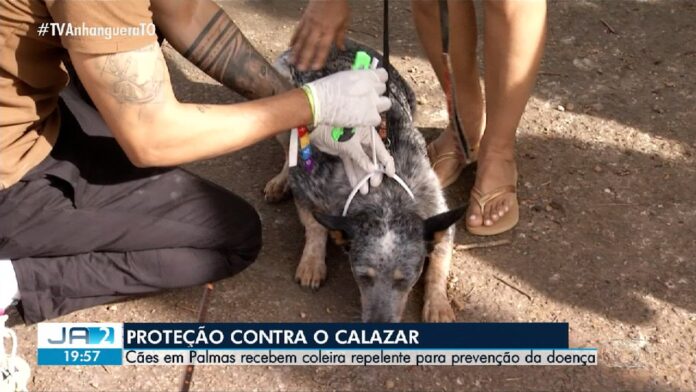 videos:-jornal-anhanguera-2a-edicao-–-to-de-sabado,-5-de-julho-de-2025