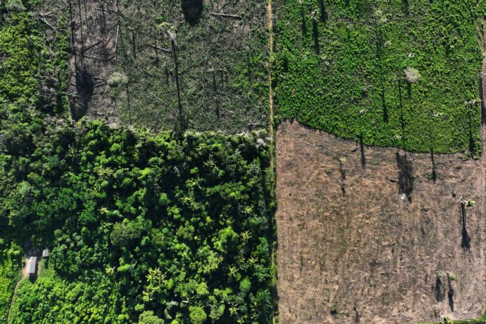 inpe:-pela-1a-vez-no-atual-governo-lula,-alertas-de-desmatamento-na-amazonia-sobem-no-1o-semestre