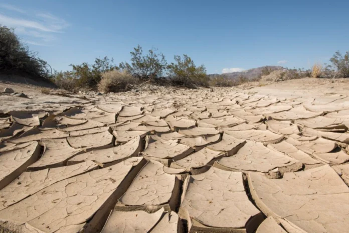 estiagem-se-espalha-pela-inglaterra-com-ano-mais-seco-desde-1976-e-calor-recorde-em-junho