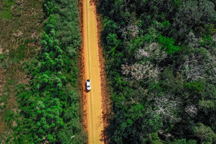 asfaltar-a-br-319-so-sera-viavel-com-controle-ambiental-rigoroso,-diz-ibama