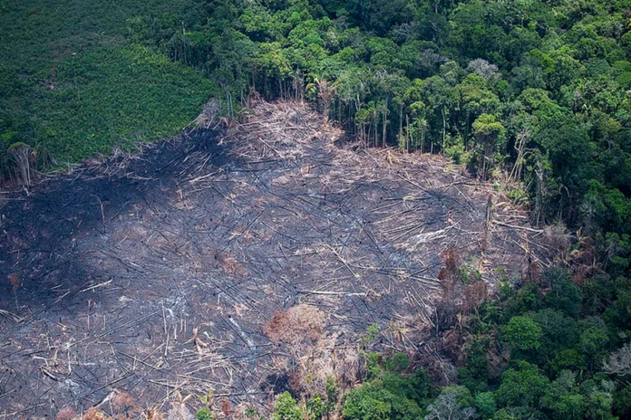 pl-da-devastacao-ameaca-biomas-e-producao-agricola-do-brasil pl-da-devastacao-ameaca-biomas-e-producao-agricola-do-brasil