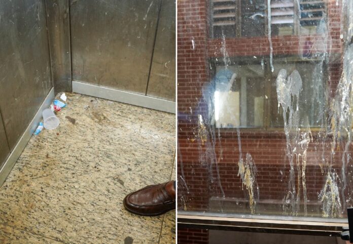 vistoria-encontra-fezes-de-pombo-e-ate-baratas-no-maior-hospital-publico-do-tocantins,-diz-mp