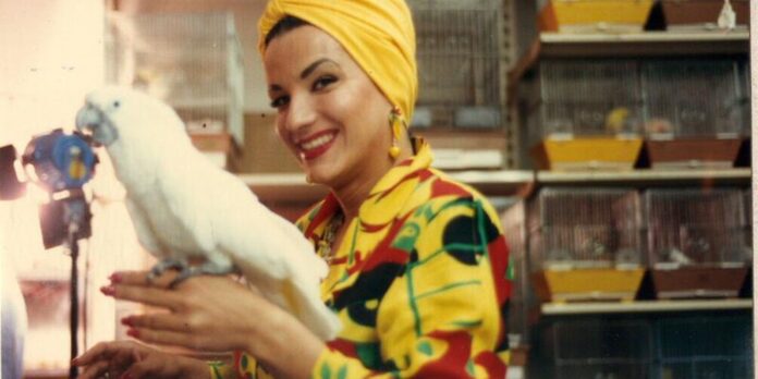 hoje-e-dia:-carmen-miranda-e-hans-christian-andersen-sao-destaques hoje-e-dia:-carmen-miranda-e-hans-christian-andersen-sao-destaques