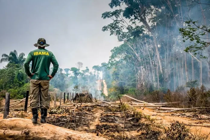 pl-da-devastacao-pode-aumentar-desmatamento-na-amazonia,-alerta-relatora-da-onu