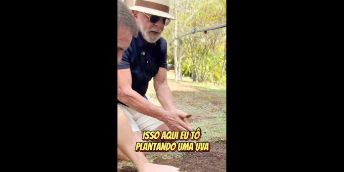 em-video-a-trump,-lula-planta-uva-e-diz-semear-comida-e-nao-odio em-video-a-trump,-lula-planta-uva-e-diz-semear-comida-e-nao-odio