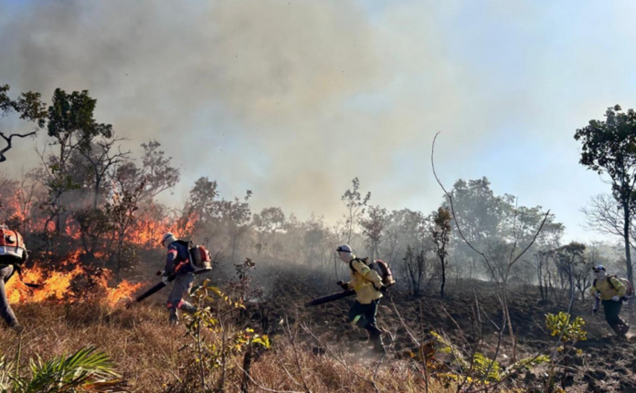tocantins-registra-mais-de-quatro-mil-focos-de-queimadas-desde-o-inicio-de-2025