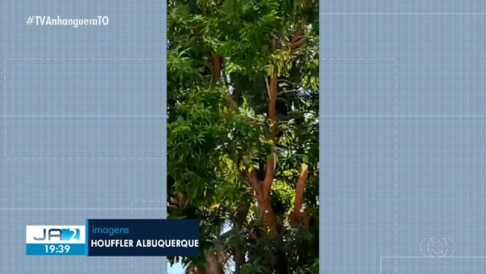 videos:-jornal-anhanguera-2a-edicao-–-to-de-sexta-feira,-12-de-setembro-de-2025