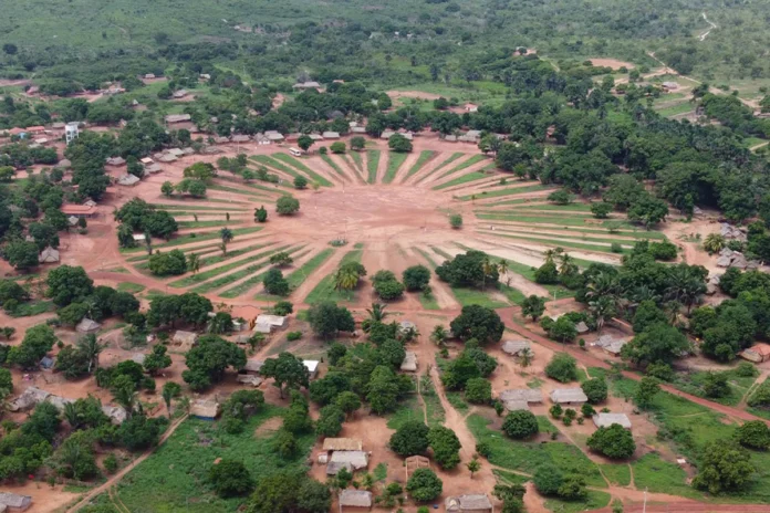 empresa-ligada-a-bet-desmatou-terras-indigenas-no-maranhao empresa-ligada-a-bet-desmatou-terras-indigenas-no-maranhao