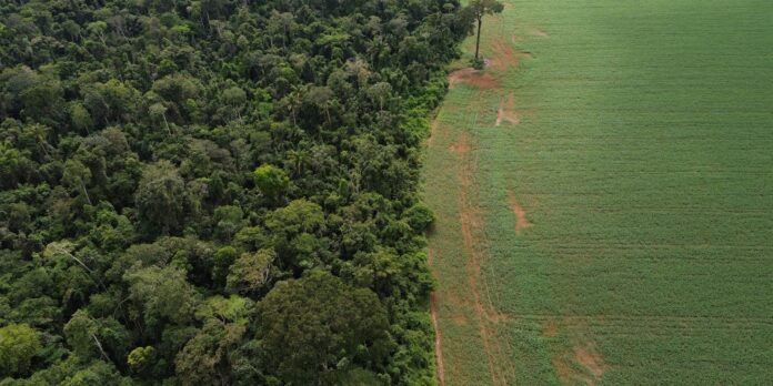 brasil-apresenta-solucoes-de-financiamento-climatico-em-nova-york brasil-apresenta-solucoes-de-financiamento-climatico-em-nova-york