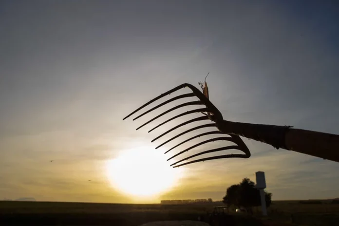 cop30:-agro-quer-financiamento-climatico-e-“direito-a-producao-agropecuaria”-na-amazonia