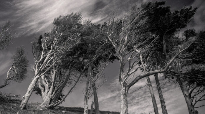 depois-de-inicio-lento,-temporada-de-furacoes-ganha-forca-no-atlantico