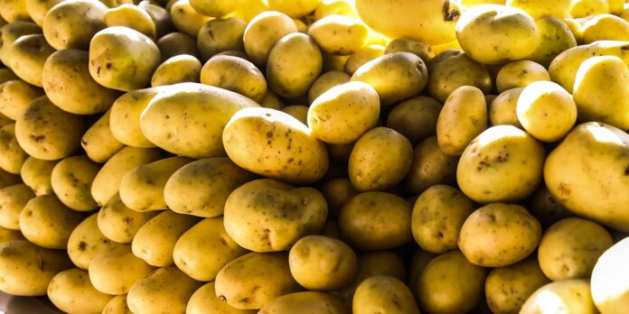 batata,-ovos-e-verduras-reduzem-pressao-inflacionaria-em-agosto-em-sp batata,-ovos-e-verduras-reduzem-pressao-inflacionaria-em-agosto-em-sp