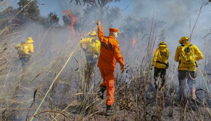 tocantins-perdeu-mais-de-800-mil-hectares-com-queimadas-em-2025