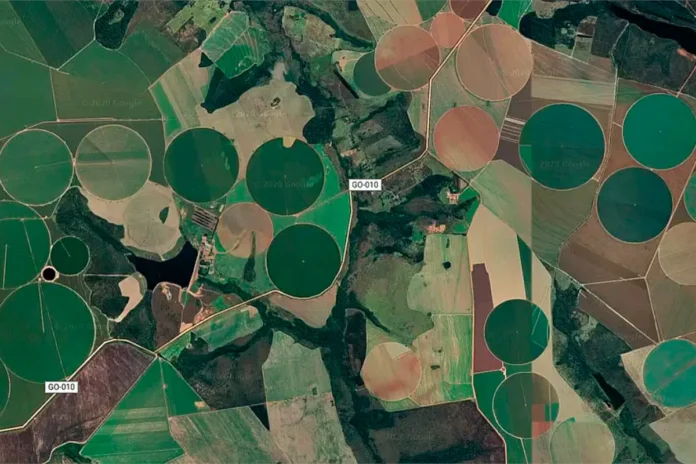 cerrado-perdeu-quase-30%-de-vegetacao-nativa-em-40-anos