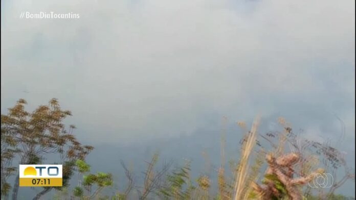 videos:-bom-dia-tocantins-de-segunda-feira,-6-de-outubro-de-2025