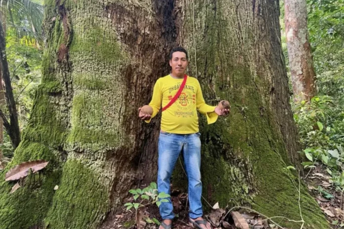 cop30:-negociacoes-acontecerao-em-uma-amazonia-mais-quente-e-seca