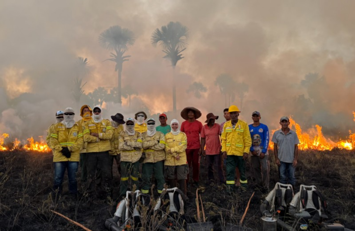 mestres-do-fogo:-as-queimadas-que-salvam-vidas-no-cerrado