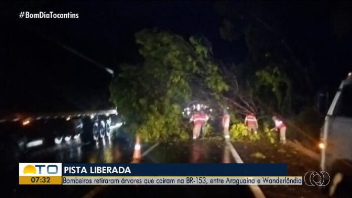 videos:-bom-dia-tocantins-de-quinta-feira,-6-de-novembro-de-2025
