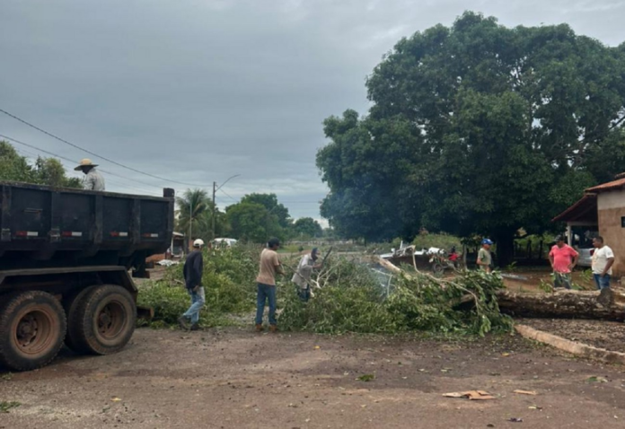 temporal-provoca-queda-de-arvores,-muros-e-telhados-na-regiao-norte-do-tocantins