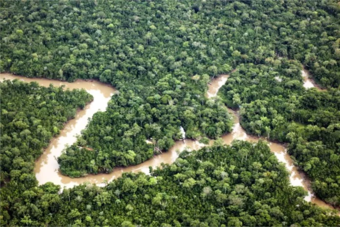 governo-regulamenta-comite-tecnico-do-mercado-brasileiro-de-carbono