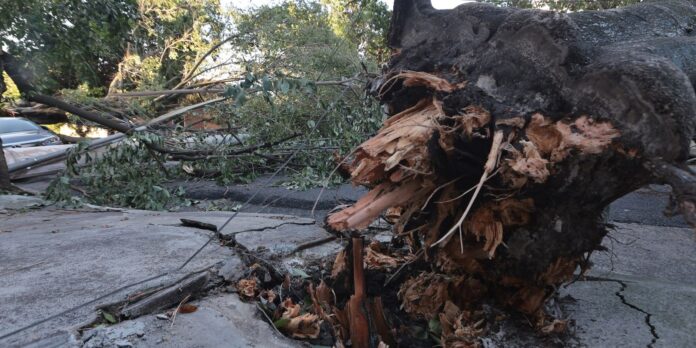 midr-reconhece-situacao-de-emergencia-em-21-municipios midr-reconhece-situacao-de-emergencia-em-21-municipios