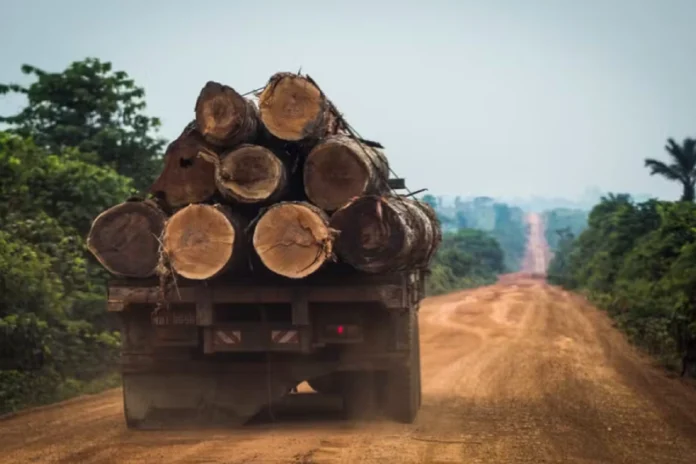 extracao-ilegal-de-madeira-cresce-44%-em-areas-protegidas-da-amazonia-legal