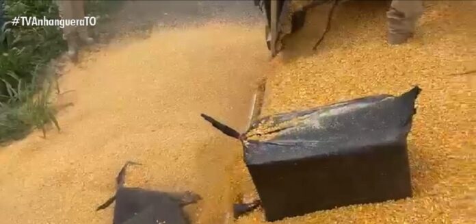 prf-apreende-quase-meia-tonelada-de-cocaina-em-caminhao-carregado-de-milho-na-br-153