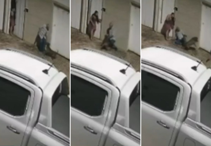 video:-ataque-de-pitbull-deixa-homem-gravemente-ferido-em-palmas