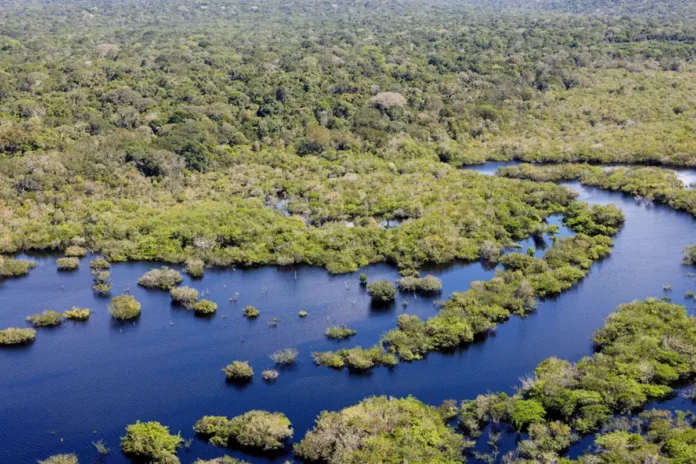desmatamento-cai-na-amazonia-e-no-cerrado-pelo-2o-ano-consecutivo 