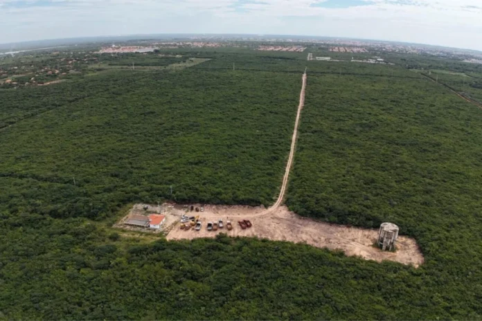 justica-suspende-licencas-ambientais-da-maior-fabrica-de-hidrogenio-verde-do-mundo-no-piaui 