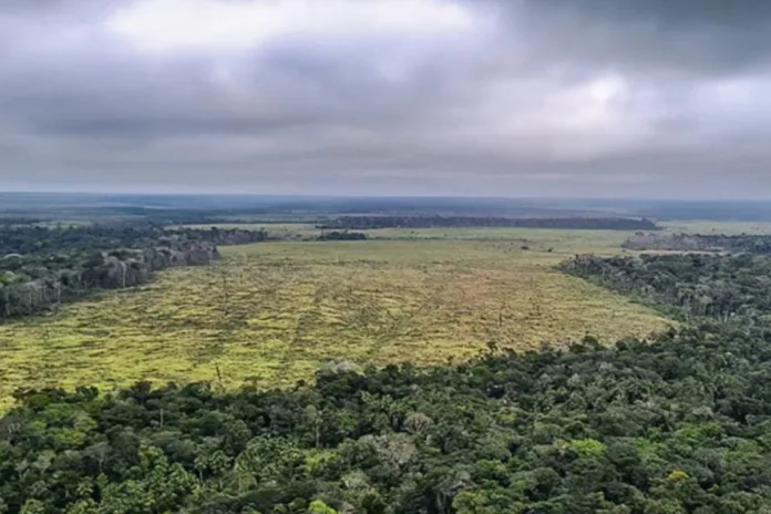 desmatamento-na-amazonia-reduz-chuvas-e-eleva-temperatura-em-3°c