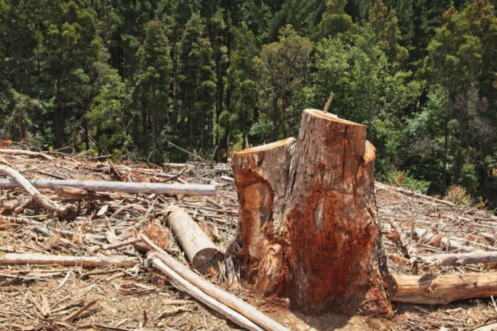 a-cada-dolar-investido-na-protecao-da-natureza,-us$-30-sao-aplicados-em-sua-devastacao