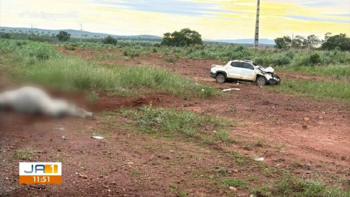 carro-bate-contra-boi-que-atravessava-pista-e-mata-dois-homens-na-br-242