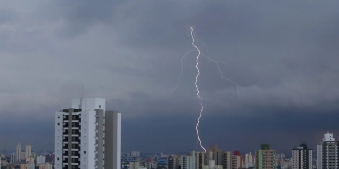 sp-registra-desabamentos-e-quedas-de-arvore-por-chuva-forte