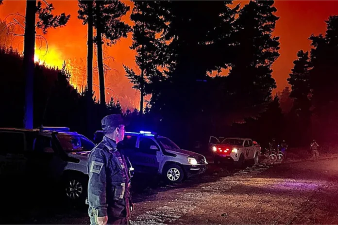 incendios-na-patagonia-argentina-ameacam-arvores-de-4-mil-anos
