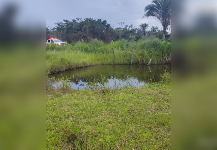 idoso-de-81-anos-morre-e-duas-pessoas-ficam-feridas-apos-ataque-de-abelhas-no-tocantins
