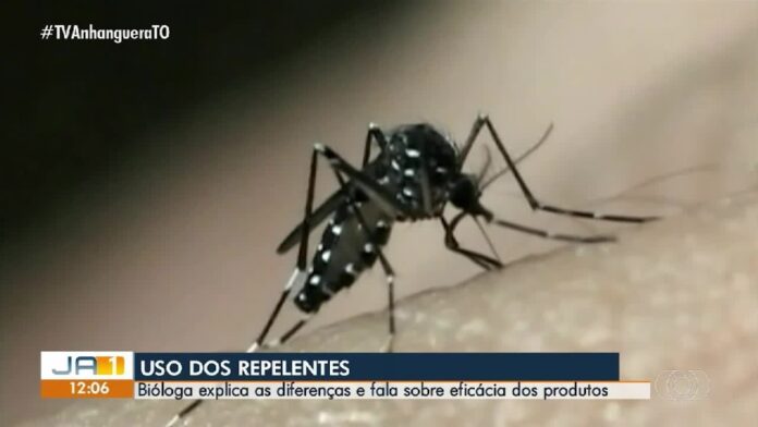 videos:-jornal-anhanguera-1a-edicao-de-terca-feira,-10-de-fevereiro-de-2026