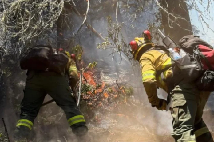 mudancas-climaticas-tornaram-incendios-na-patagonia-3-vezes-mais-provaveis