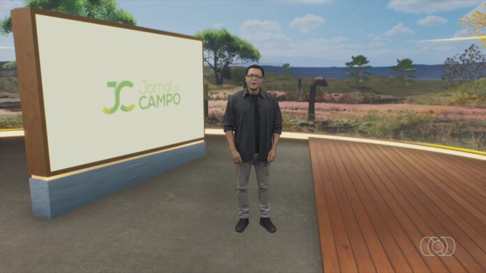 videos:-jornal-do-campo-to-deste-domingo,-15-de-fevereiro-de-2026