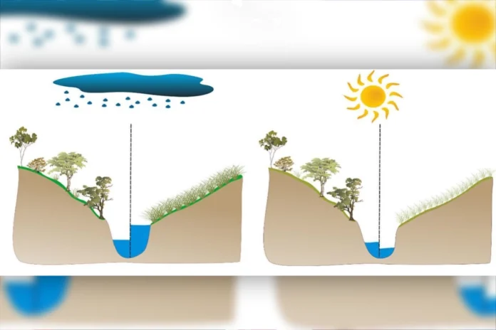 desmatamento-altera-fluxo-de-corregos-em-area-de-transicao-entre-amazonia-e-cerrado
