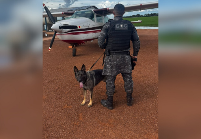 piloto-e-preso-e-aviao-apreendido-no-tocantins-apos-policia-encontrar-drogas-e-folhas-de-coca piloto-e-preso-e-aviao-apreendido-no-tocantins-apos-policia-encontrar-drogas-e-folhas-de-coca