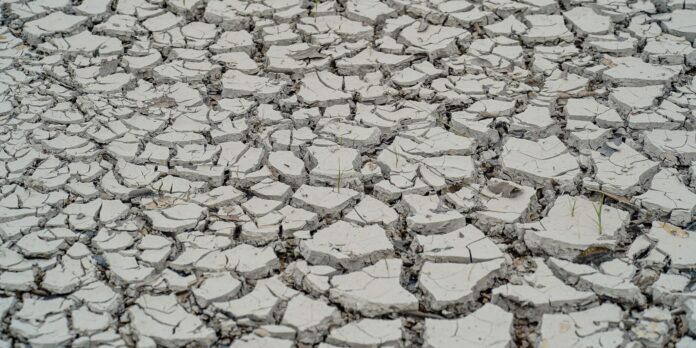 estiagem:-quinze-cidades-tem-situacao-de-emergencia-decretada