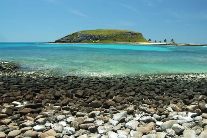 abrolhos-teve-perda-expressiva-de-corais-em-menos-de-20-anos