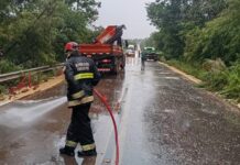 Motorista morre em acidente após carreta desviar de animais soltos em pista, diz PM motorista-morre-em-acidente-apos-carreta-desviar-de-animais-soltos-em-pista,-diz-pm