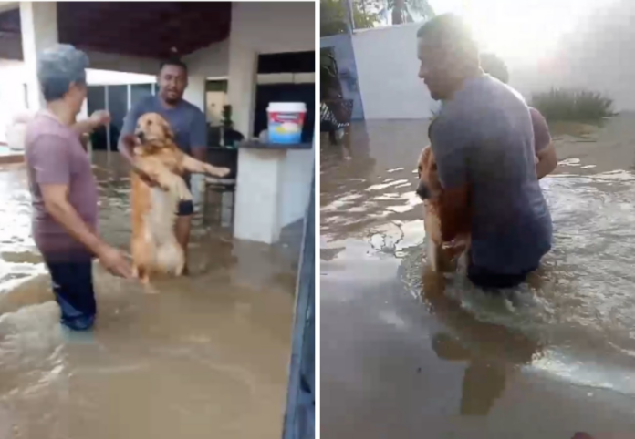 corrego-transborda-e-deixa-bairros-alagados-em-gurupi;-video