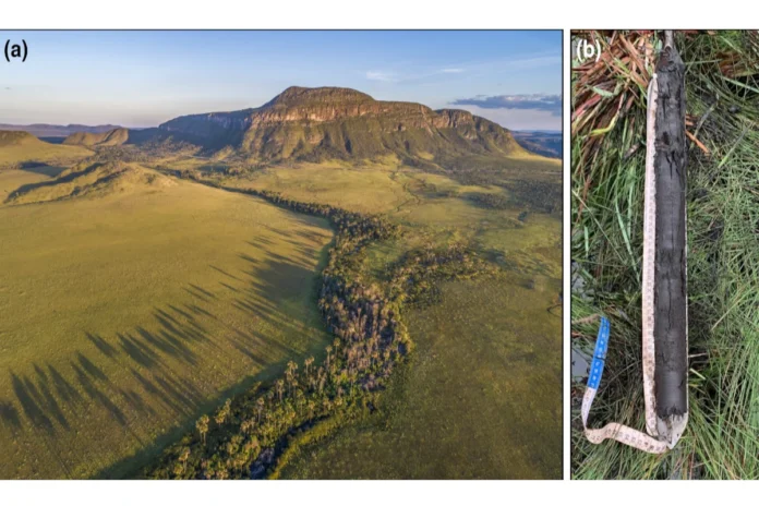 areas-umidas-do-cerrado-podem-armazenar-mais-carbono-que-amazonia