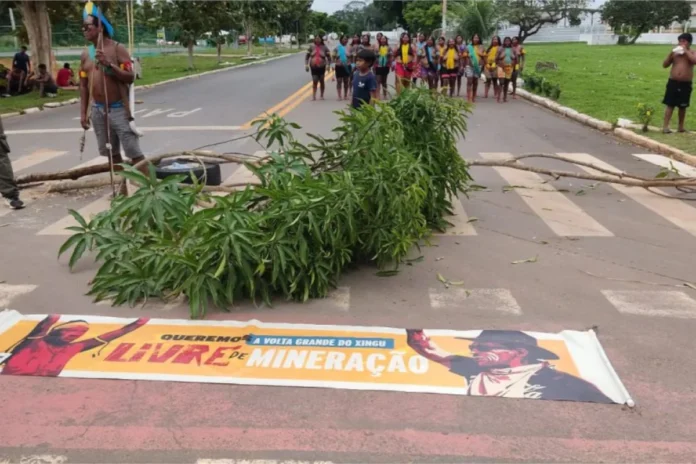 mulheres-indigenas-mantem-ocupacao-contra-mina-de-ouro-da-belo-sun