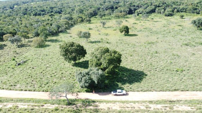 mecanico-e-avistado-por-drone-e-equipe-usa-trator-para-diminuir-pasto-na-regiao-de-buscas